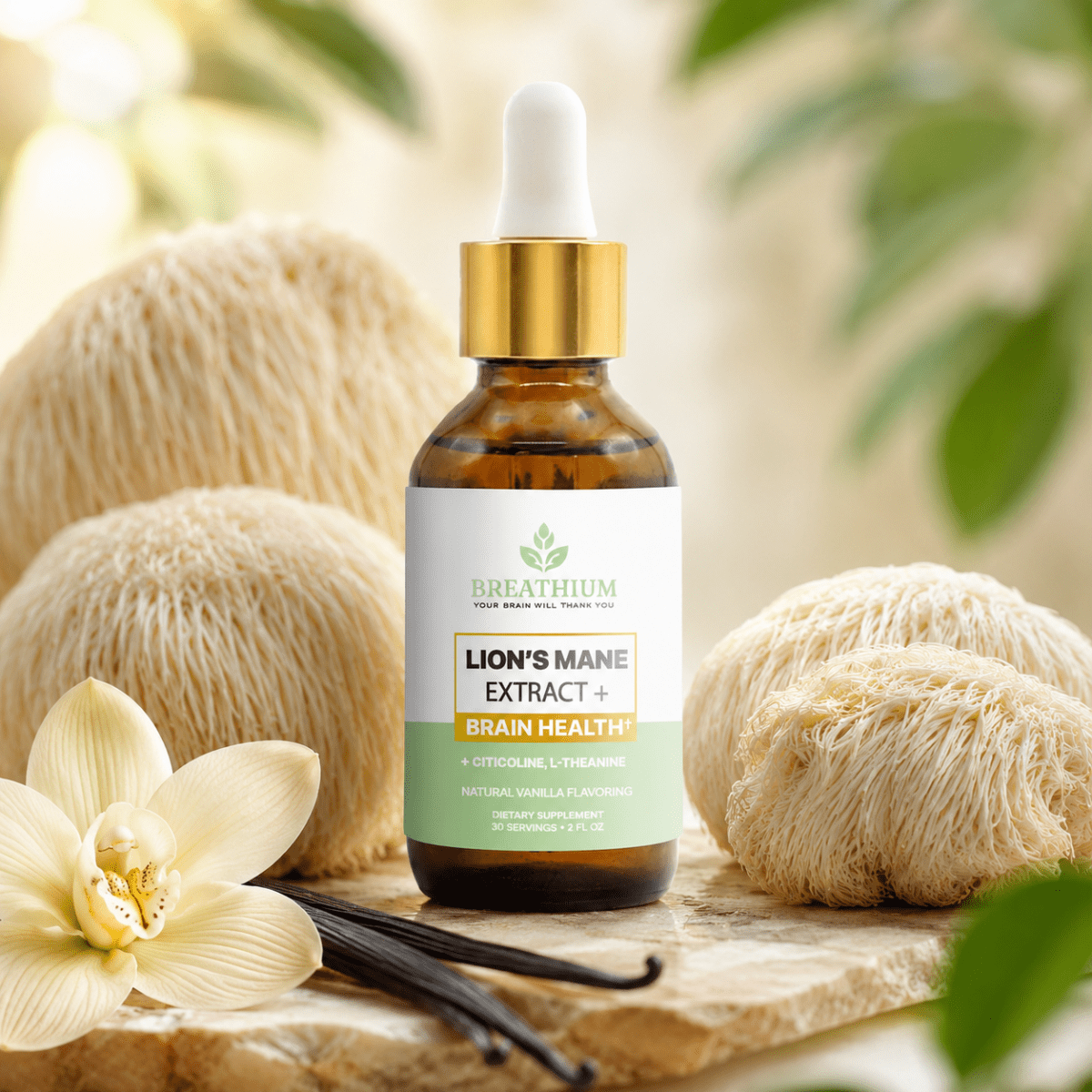 Lion’s Mane Extract+ | Natural Vanilla