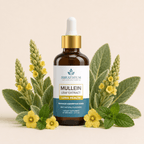 Breathium Mullein Drops - Peppermint Flavor